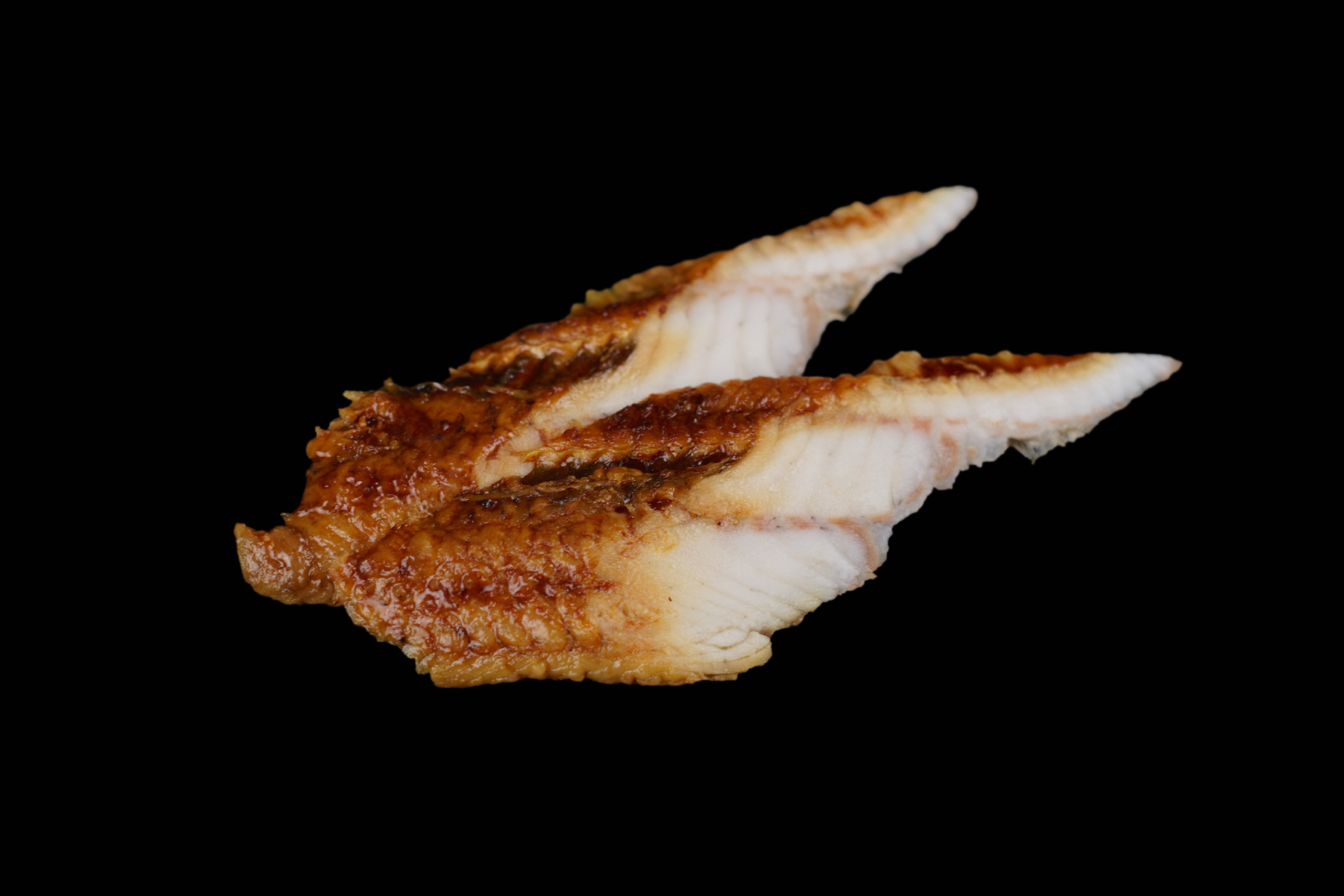 Sashimi UNAGI Sashimi UNAGI